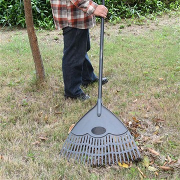 Hvordan bryr vi oss om Vincaen i vintersesongen?