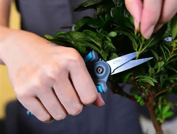 Hvorfor lanserte vi den nye og større saksen