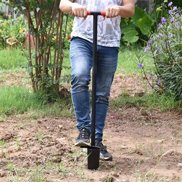 Hvordan lage en lav - vedlikehold skjønnhetshage?