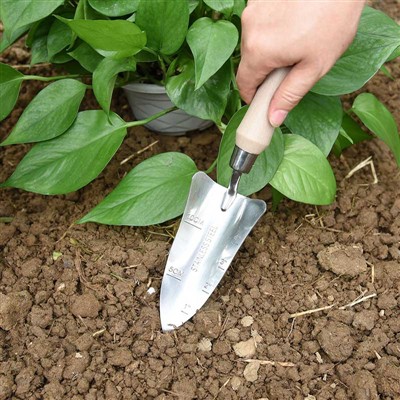 Hageplantingsdagbok -1