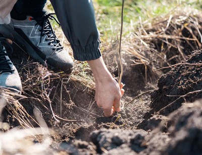Lekne trinn for å grave gjennom røtter