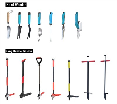 Å dyrke grønt: Omfavn bærekraft i hagen din