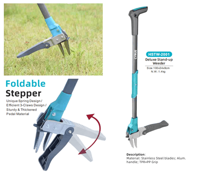 Feirer midthøstfestivalen rundt om i verden: En harmoni av tradisjon og hagev...