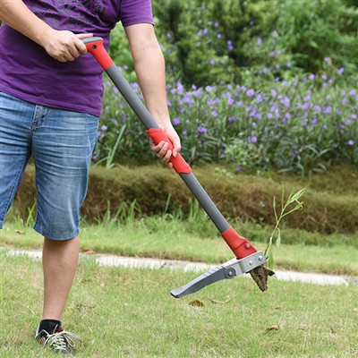 Hvordan fjerne ugress uten å bøye seg?